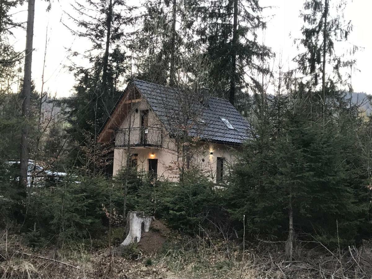 Chata Pod Skocznia Wisla Malinka Villa Exterior foto