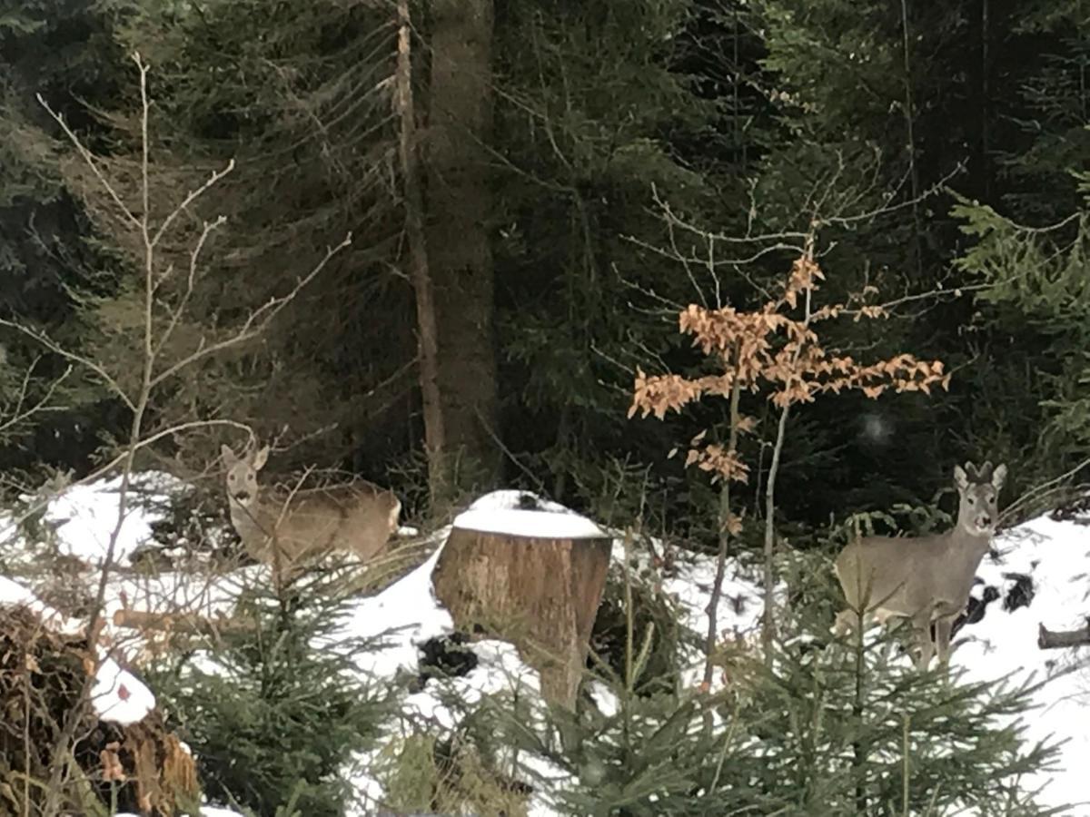 Chata Pod Skocznia Wisla Malinka Villa Cameră foto